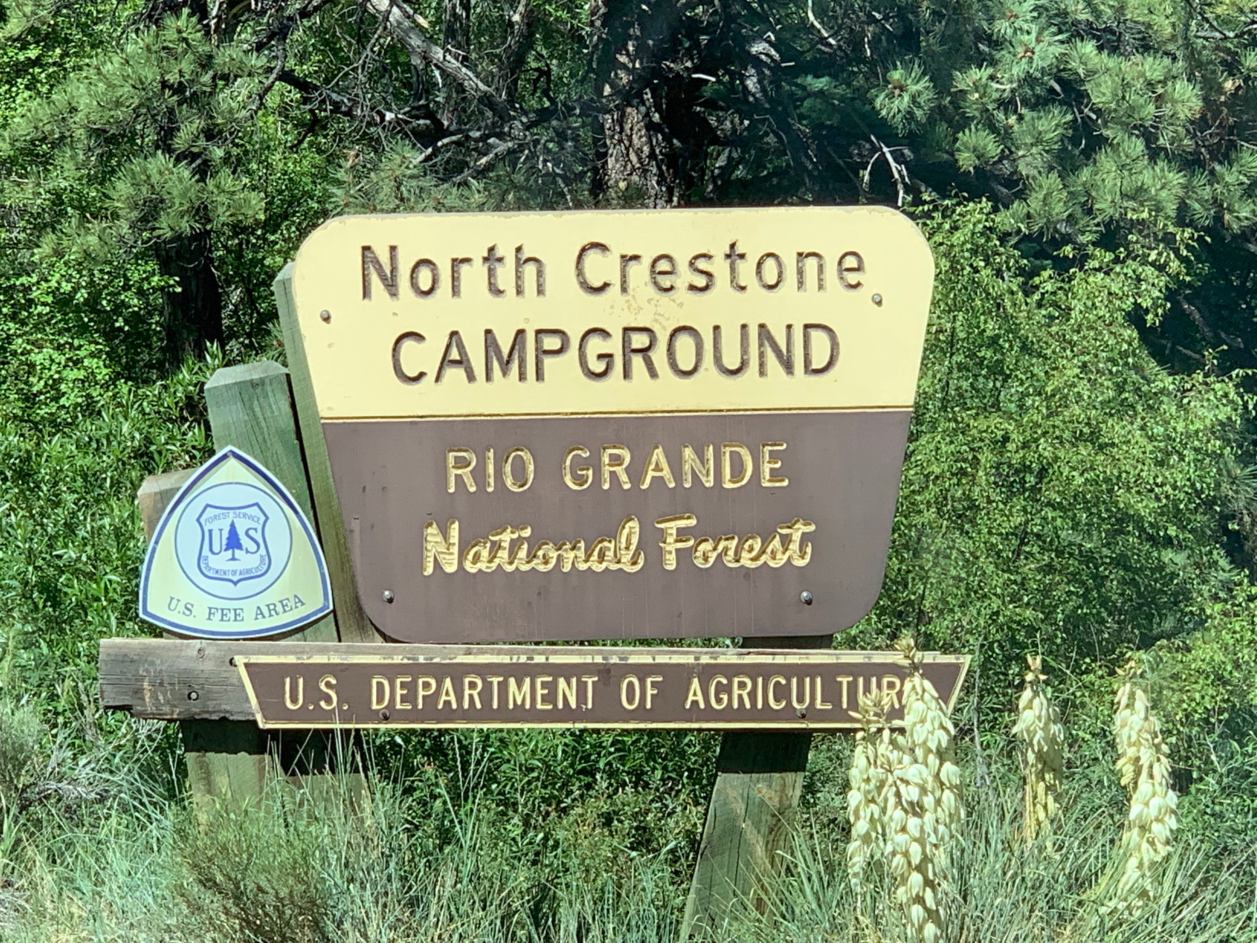 Camper submitted image from North Crestone Creek Campground - 3
