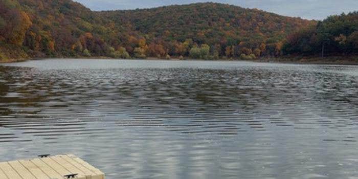 Camper submitted image from Tionesta Rec. Area Campground