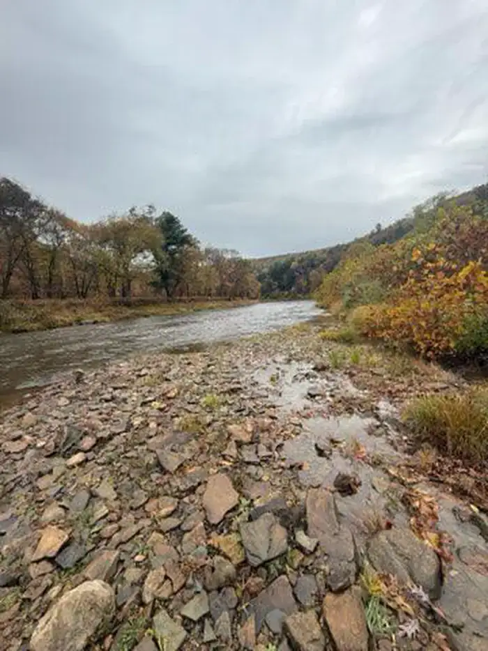 Camper-submitted photo at Tionesta Rec. Area Campground near Tionesta, PA