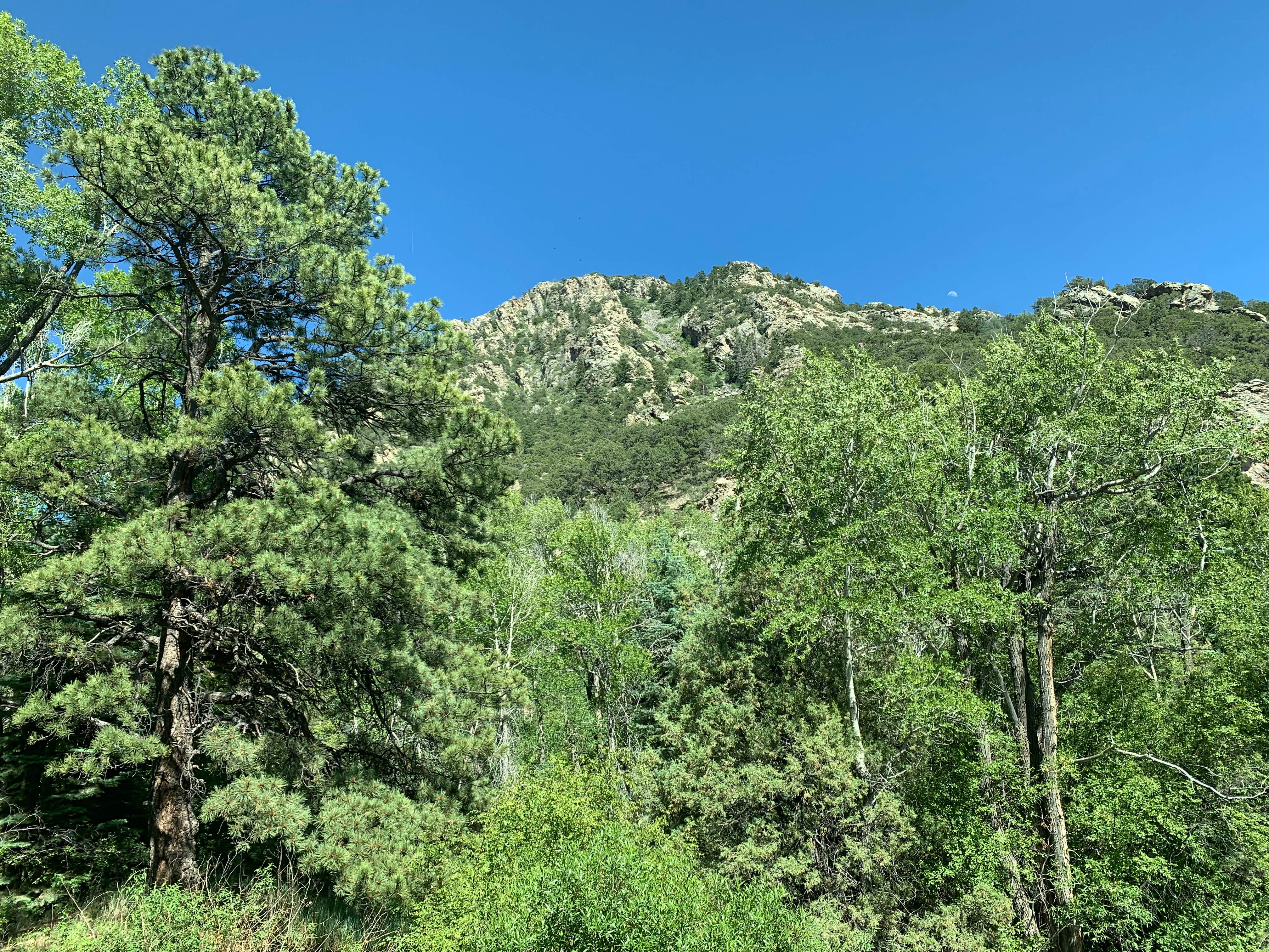 Camper-submitted photo at North Crestone Creek Campground near Crestone, CO