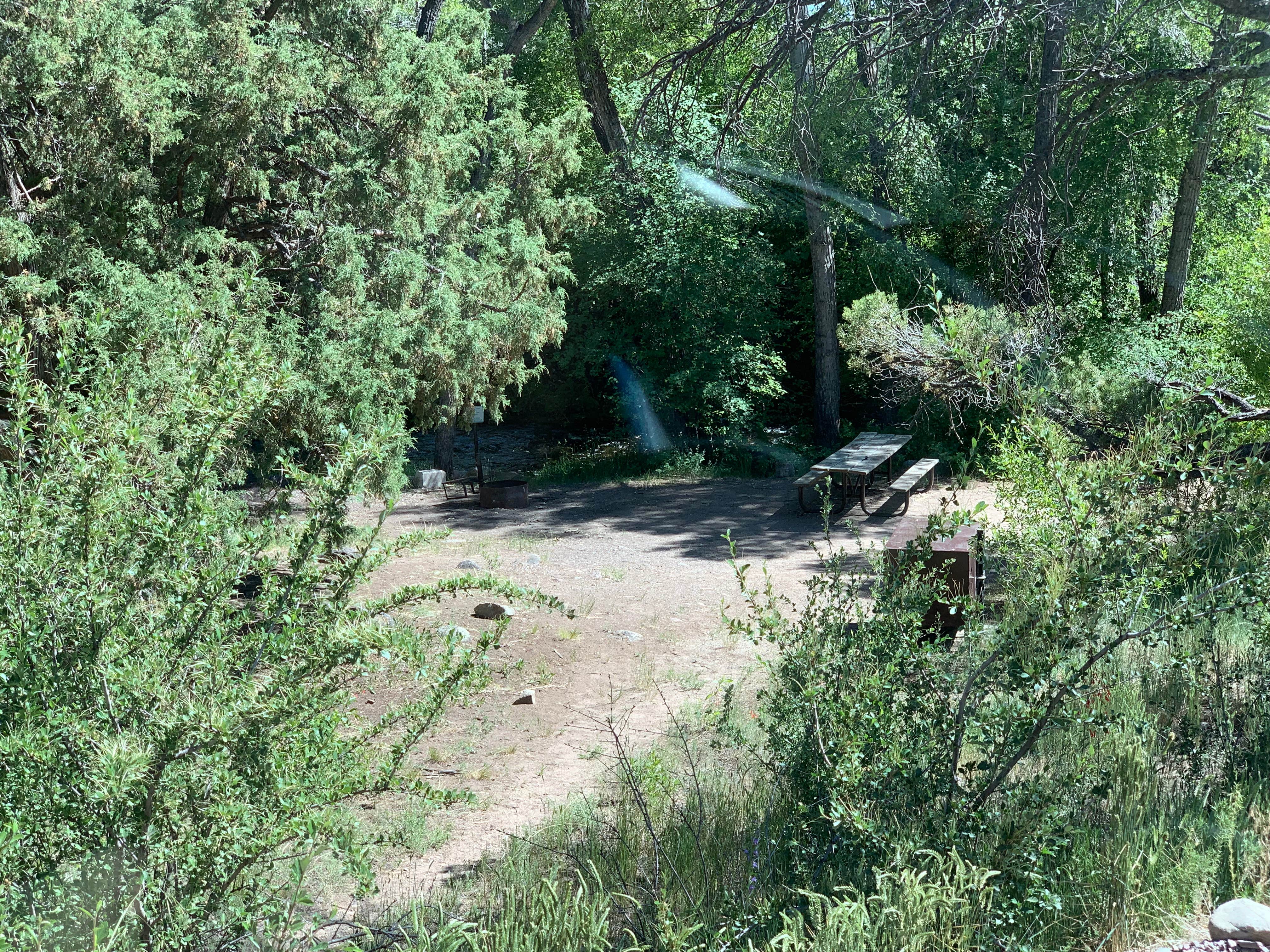 Camper-submitted photo at North Crestone Creek Campground near Crestone, CO