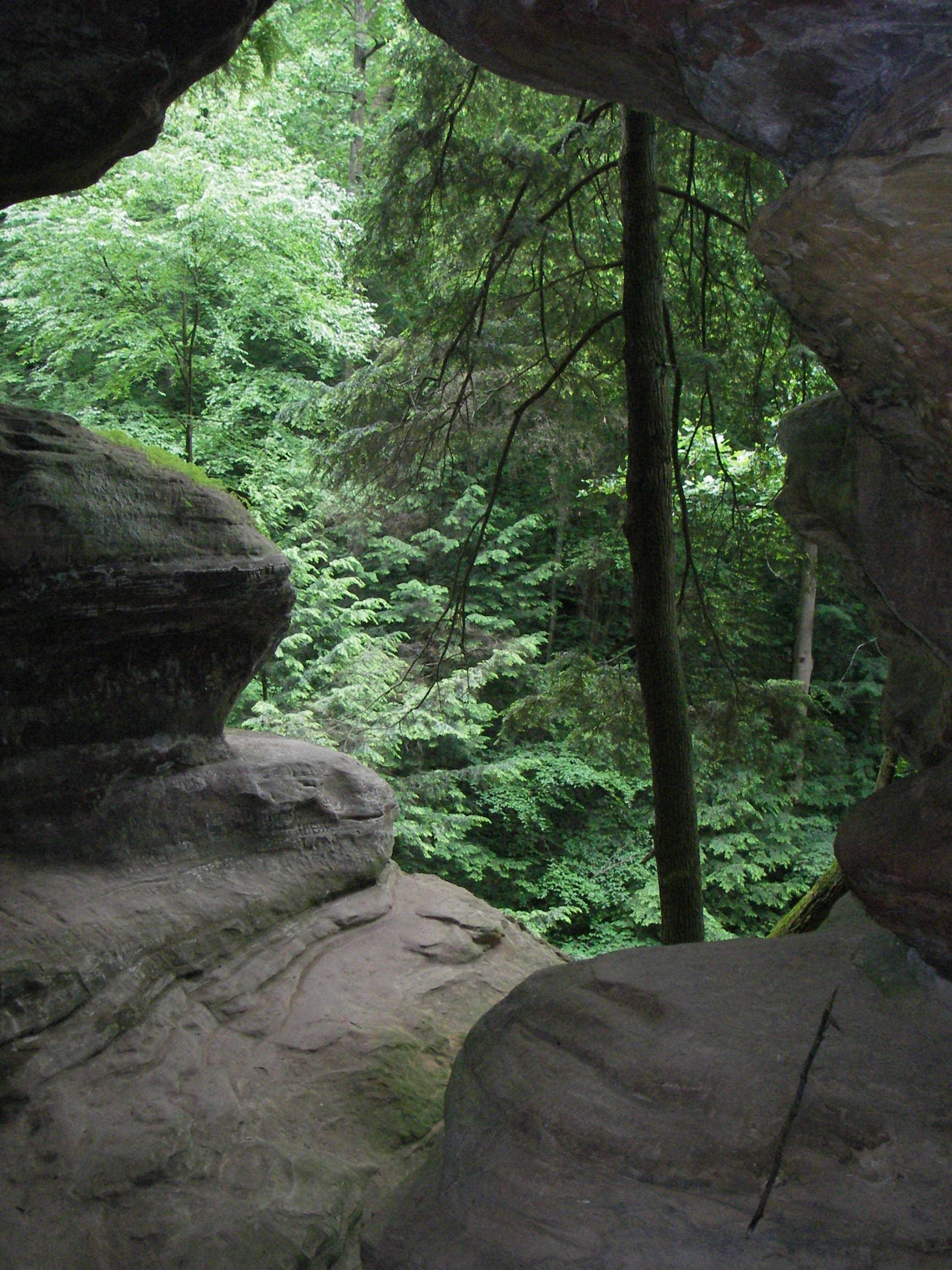 Camper-submitted photo at Lake Hope State Park Campground near Lockbourne, OH