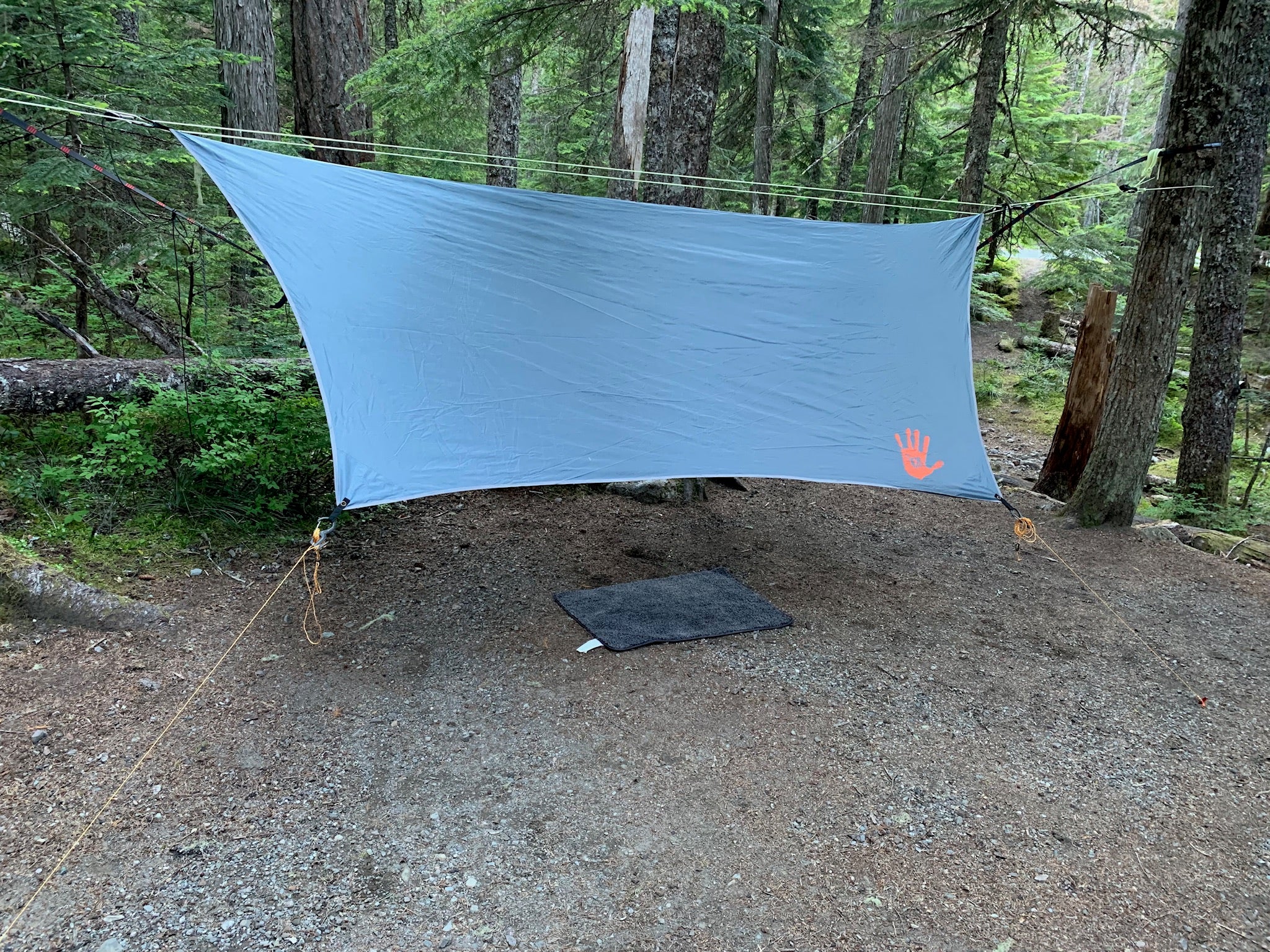 Hammock setup, still room for a small tent nearby.