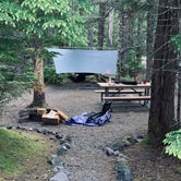 Review photo of Cougar Rock Campground — Mount Rainier National Park by Kier S., August 28, 2019
