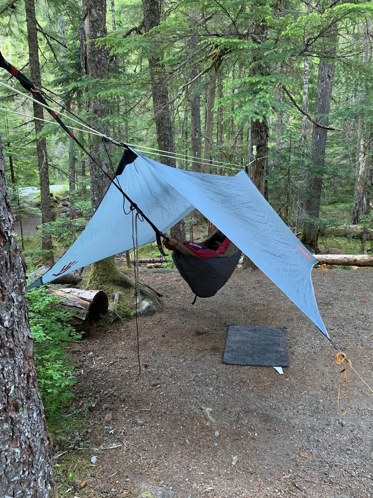 other angle of hammock.  Remember your under quilt, it gets cold at night on the Mountain.