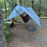 Review photo of Cougar Rock Campground — Mount Rainier National Park by Kier S., August 28, 2019