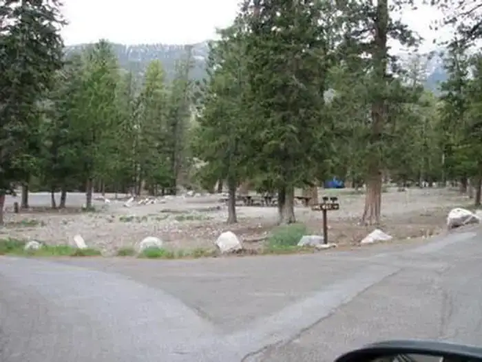 Camper-submitted photo at McWilliams Campground in Nevada