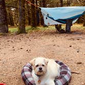 Review photo of Cape Disappointment State Park Campground by Kier S., August 28, 2019