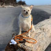 Review photo of Cape Disappointment State Park Campground by Kier S., August 28, 2019