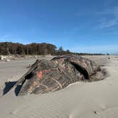 Review photo of Cape Disappointment State Park Campground by Kier S., August 28, 2019