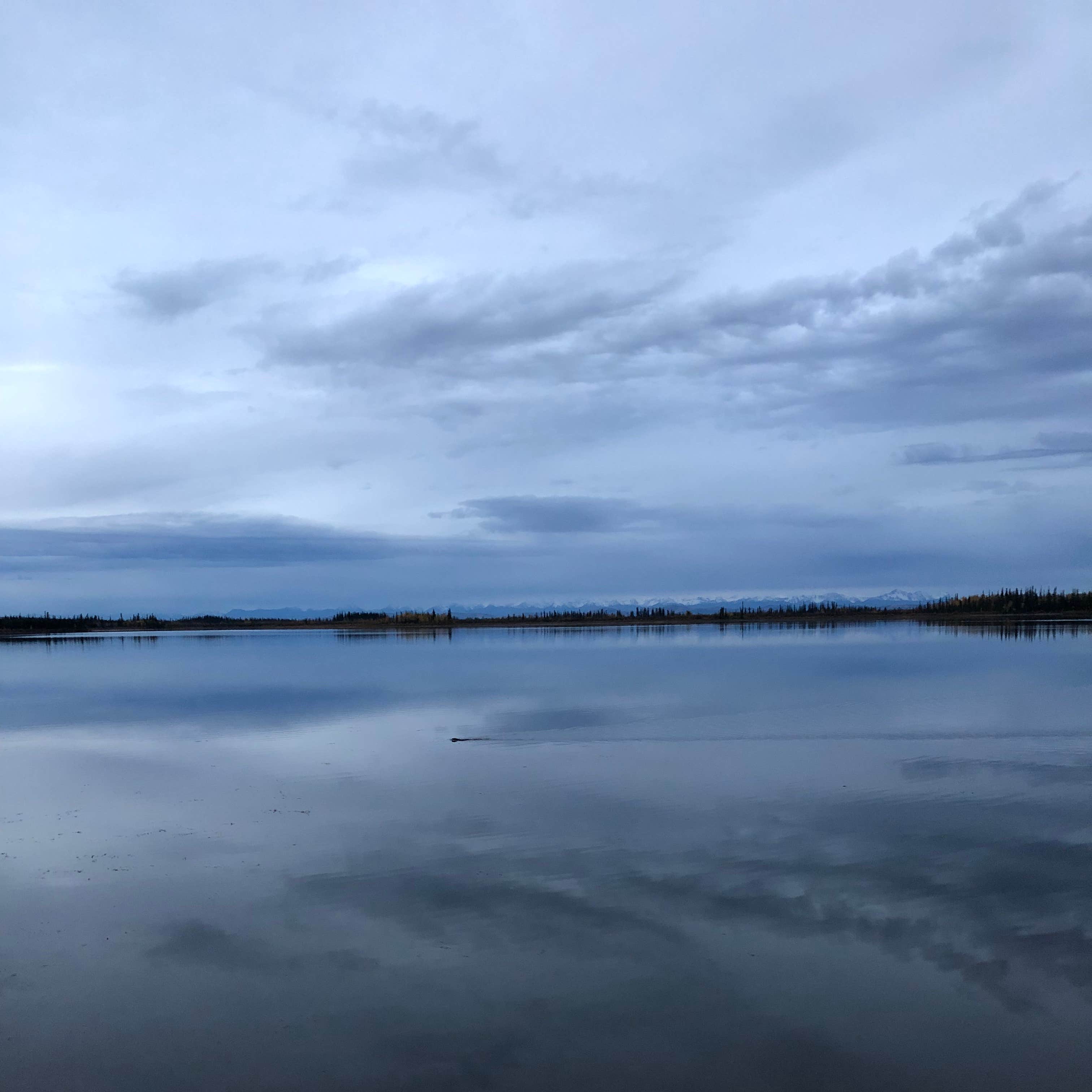 Deadman Lake Campground Camping The Dyrt