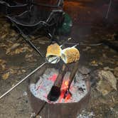 Review photo of Lock and Dam / Coosa River County Park by Brian P., November 20, 2025