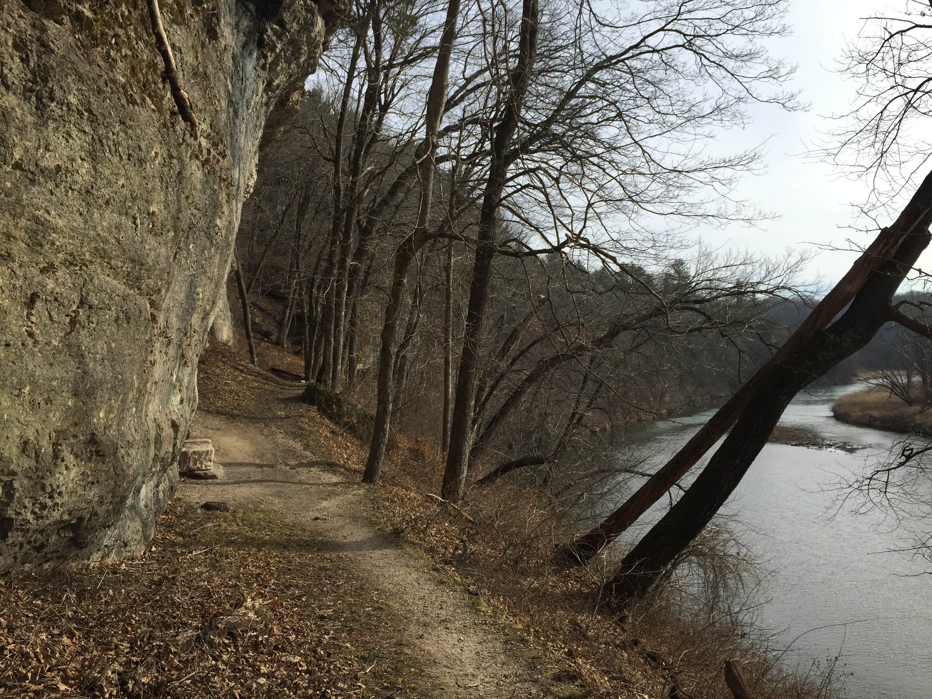 Camper submitted image from backbone state park - 2