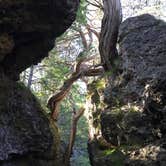 Review photo of backbone state park by Brooke C., November 20, 2025