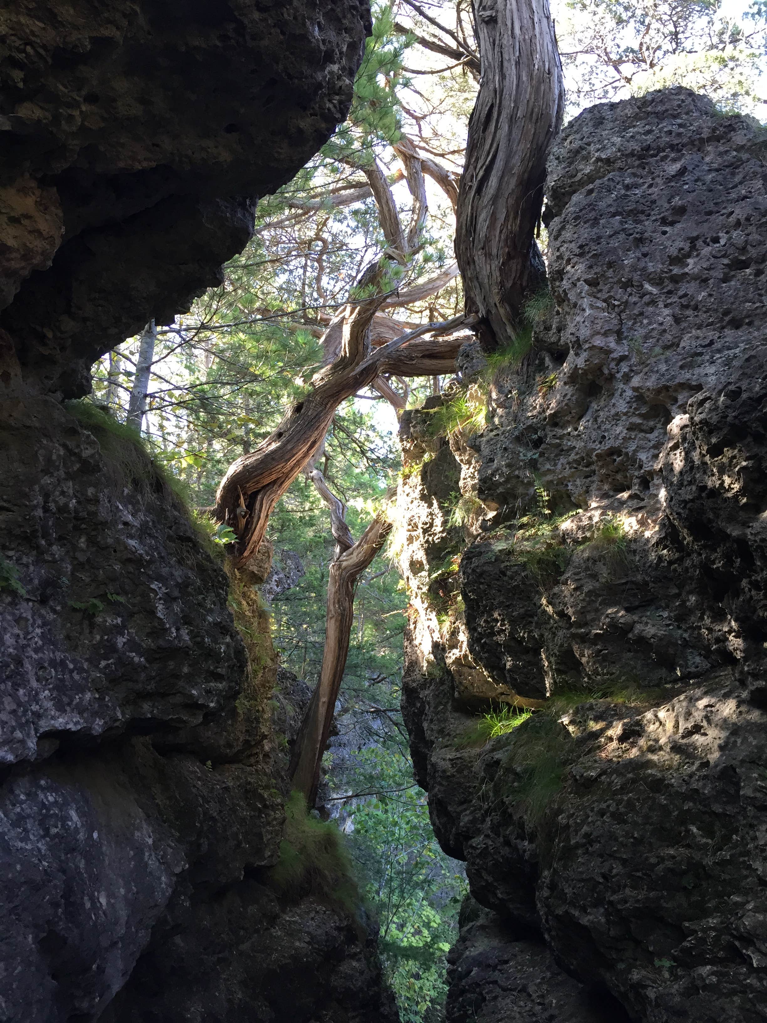 Camper submitted image from backbone state park - 3