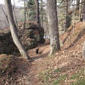 Review photo of backbone state park by Brooke C., November 20, 2025