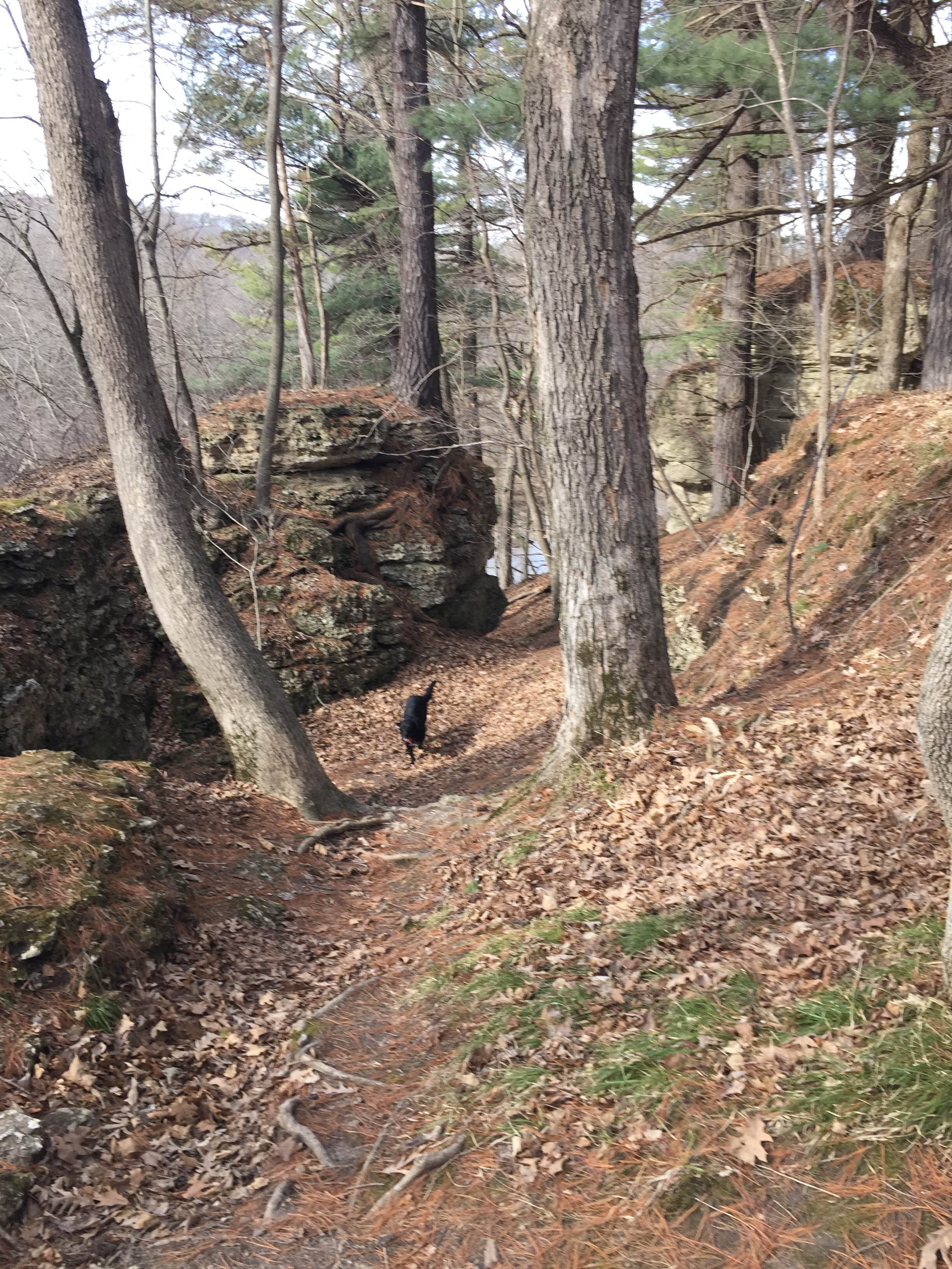 Camper submitted image from backbone state park - 4