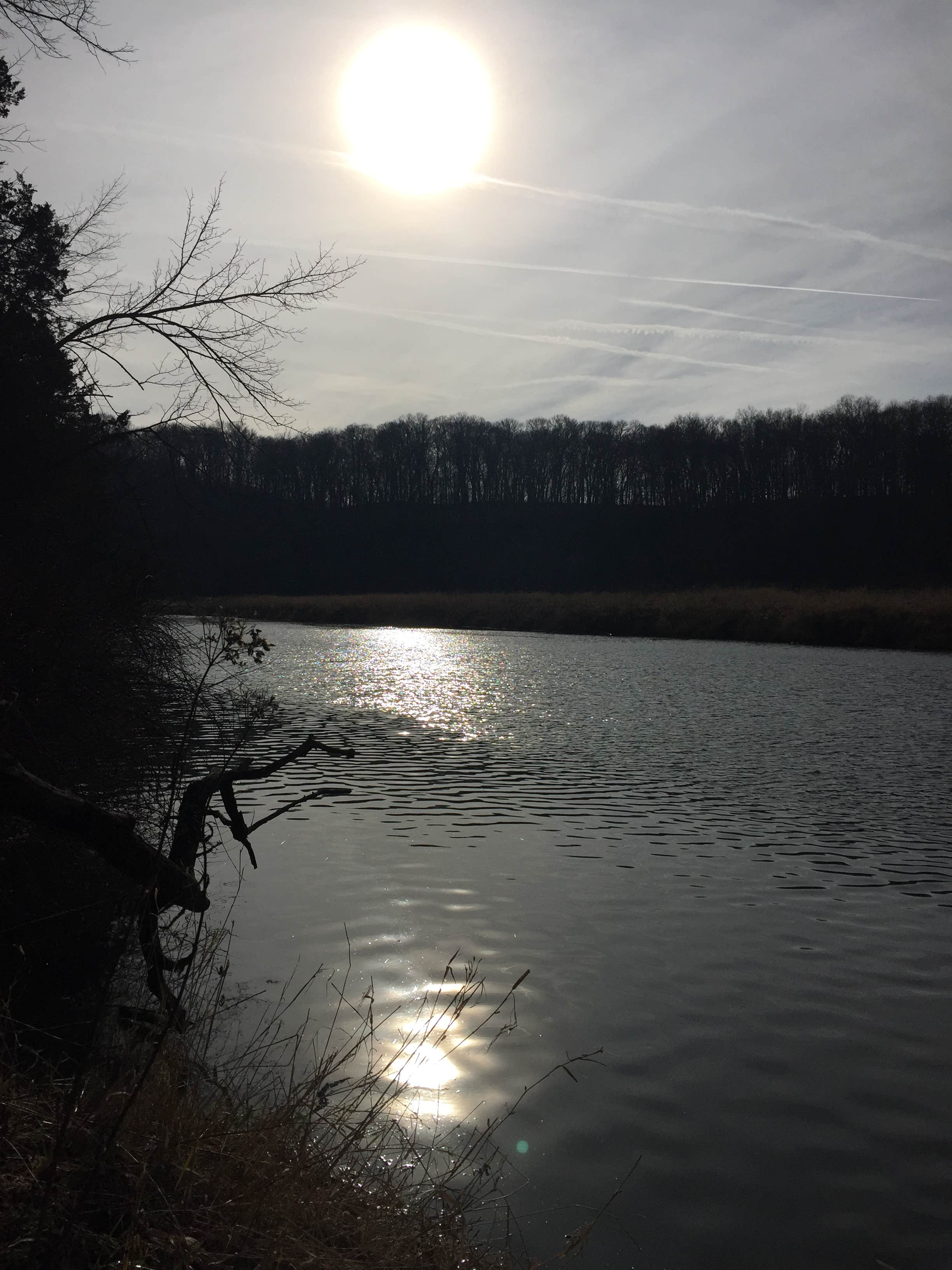 Camper submitted image from backbone state park - 5