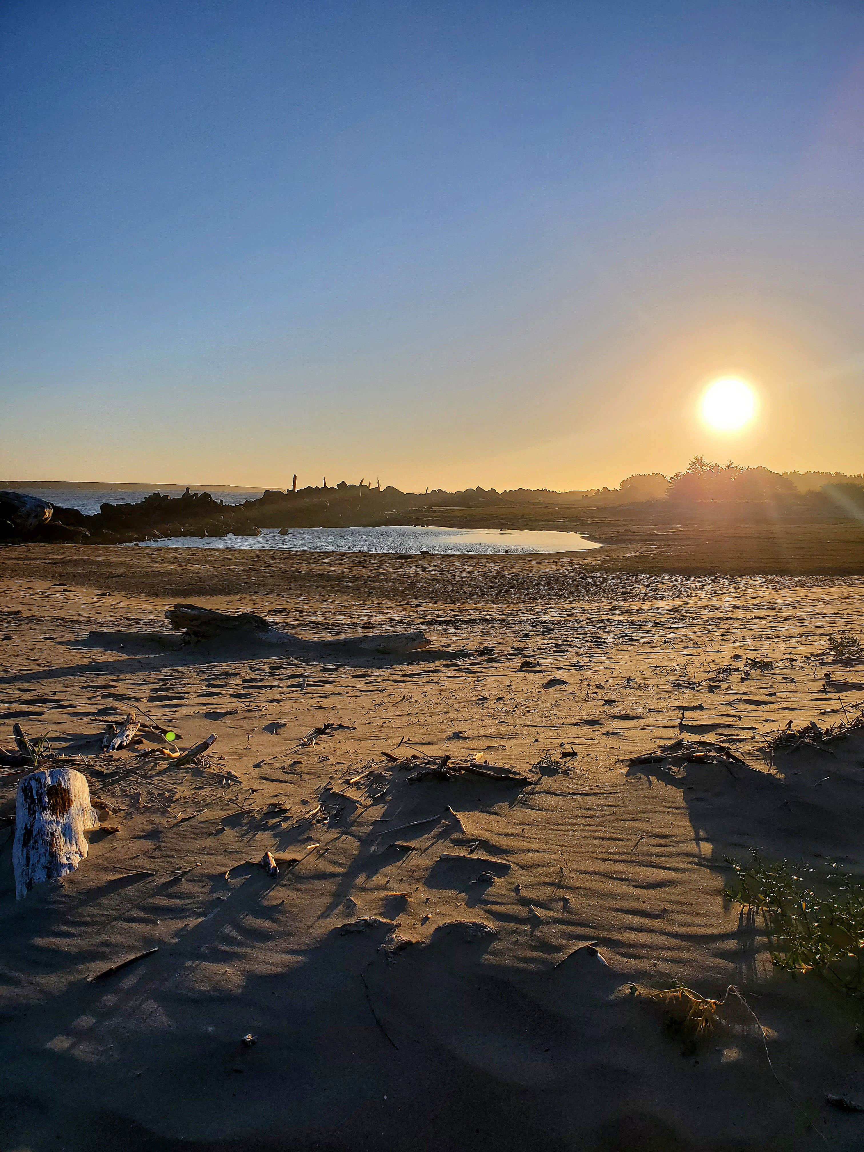 Camper submitted image from barview jetty campground - 2