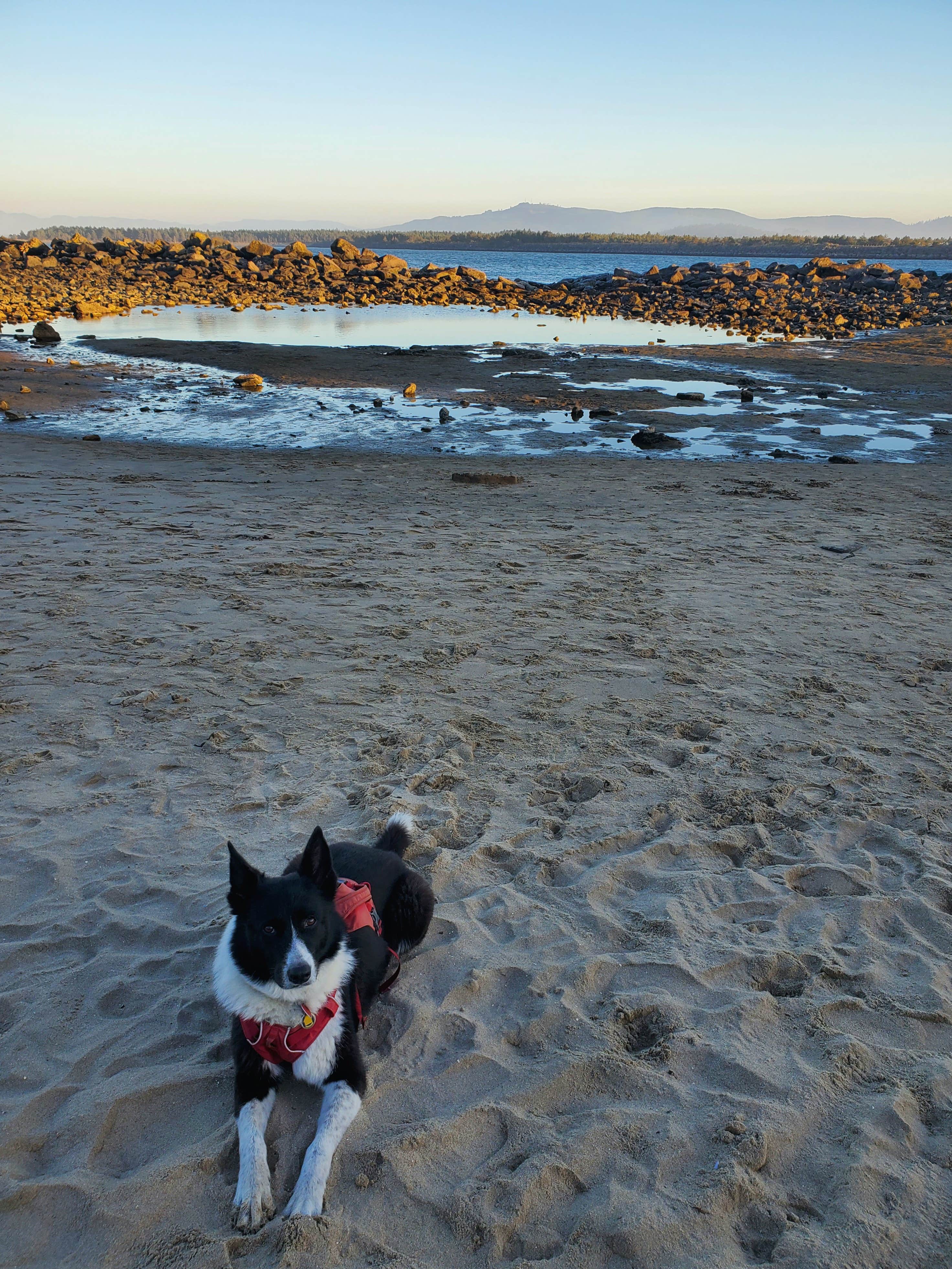 Camper submitted image from barview jetty campground - 3