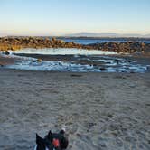 Review photo of barview jetty campground by S , November 20, 2025
