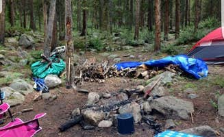 Stella C.'s photo at Cold Spring near Pitkin, CO