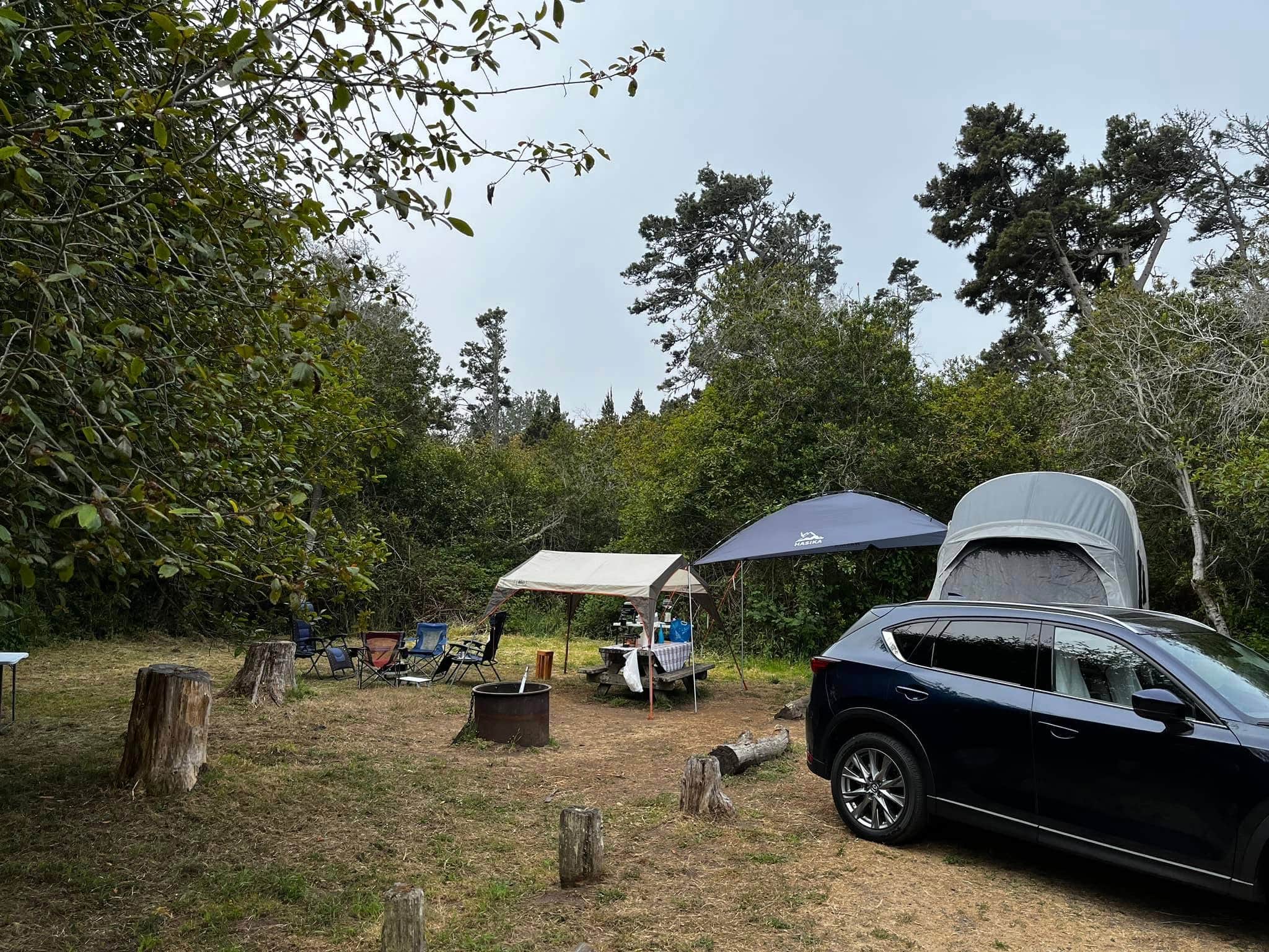 Graeme P.'s photo at Mackerricher State Park Campground near Soda Springs, CA