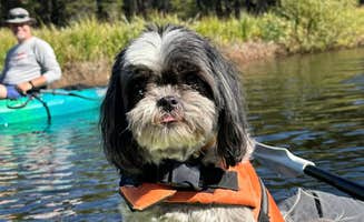 Graeme P.'s photo of camping with pets at Wrights Lake near South Lake Tahoe, CA