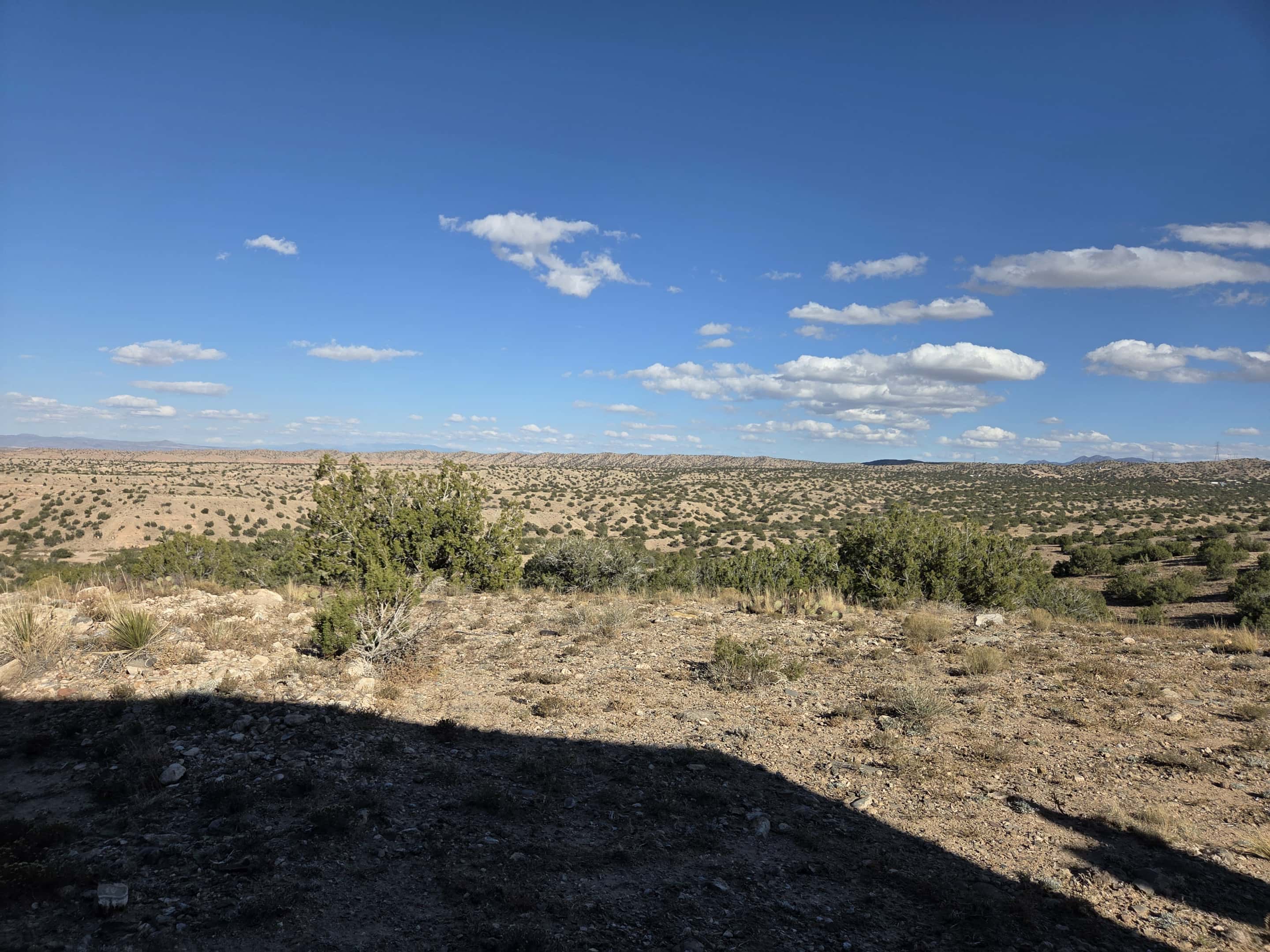 Camper-submitted photo at Top of New Mexico - Dispersed Site in New Mexico