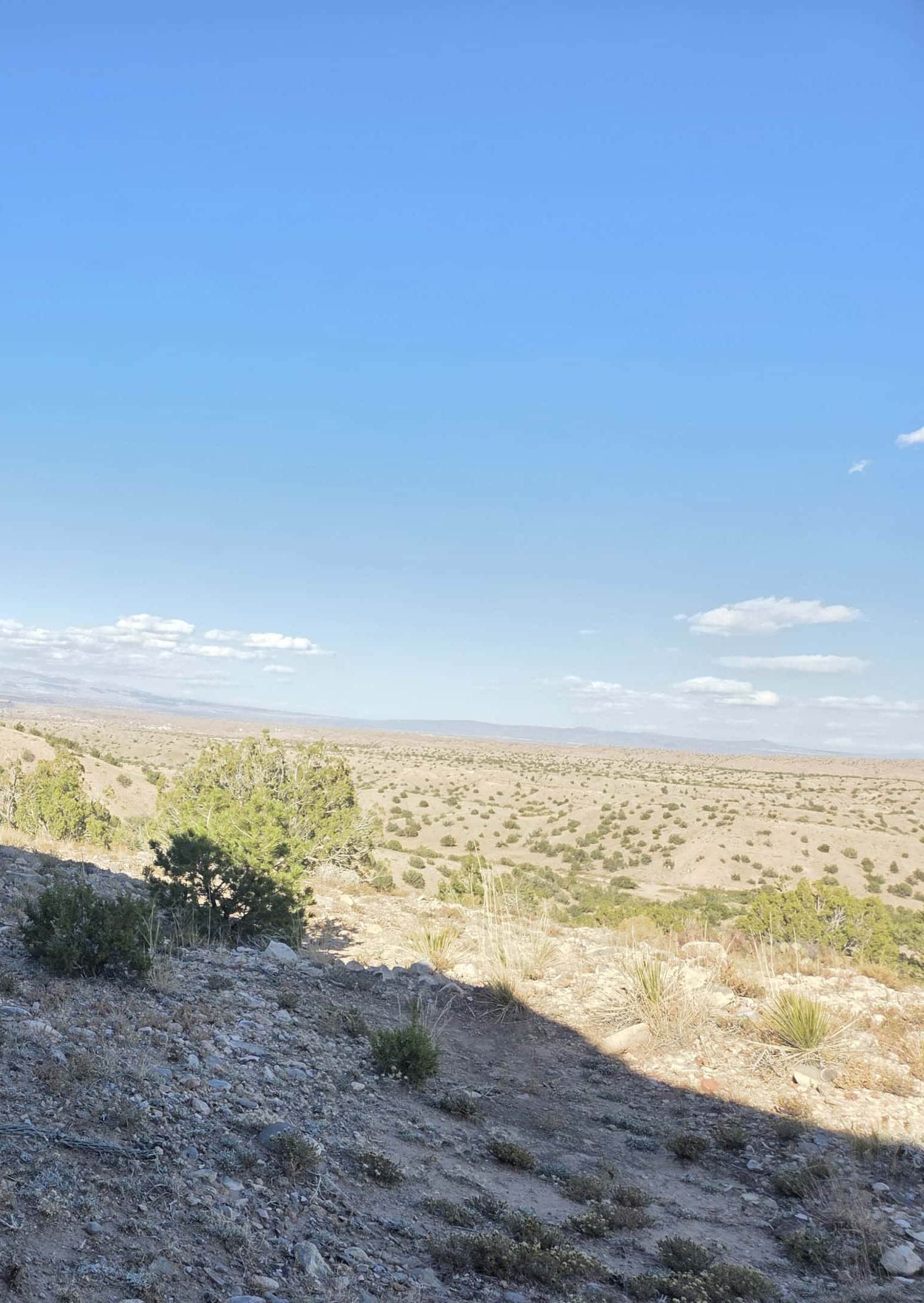 Camper-submitted photo at Top of New Mexico - Dispersed Site in New Mexico