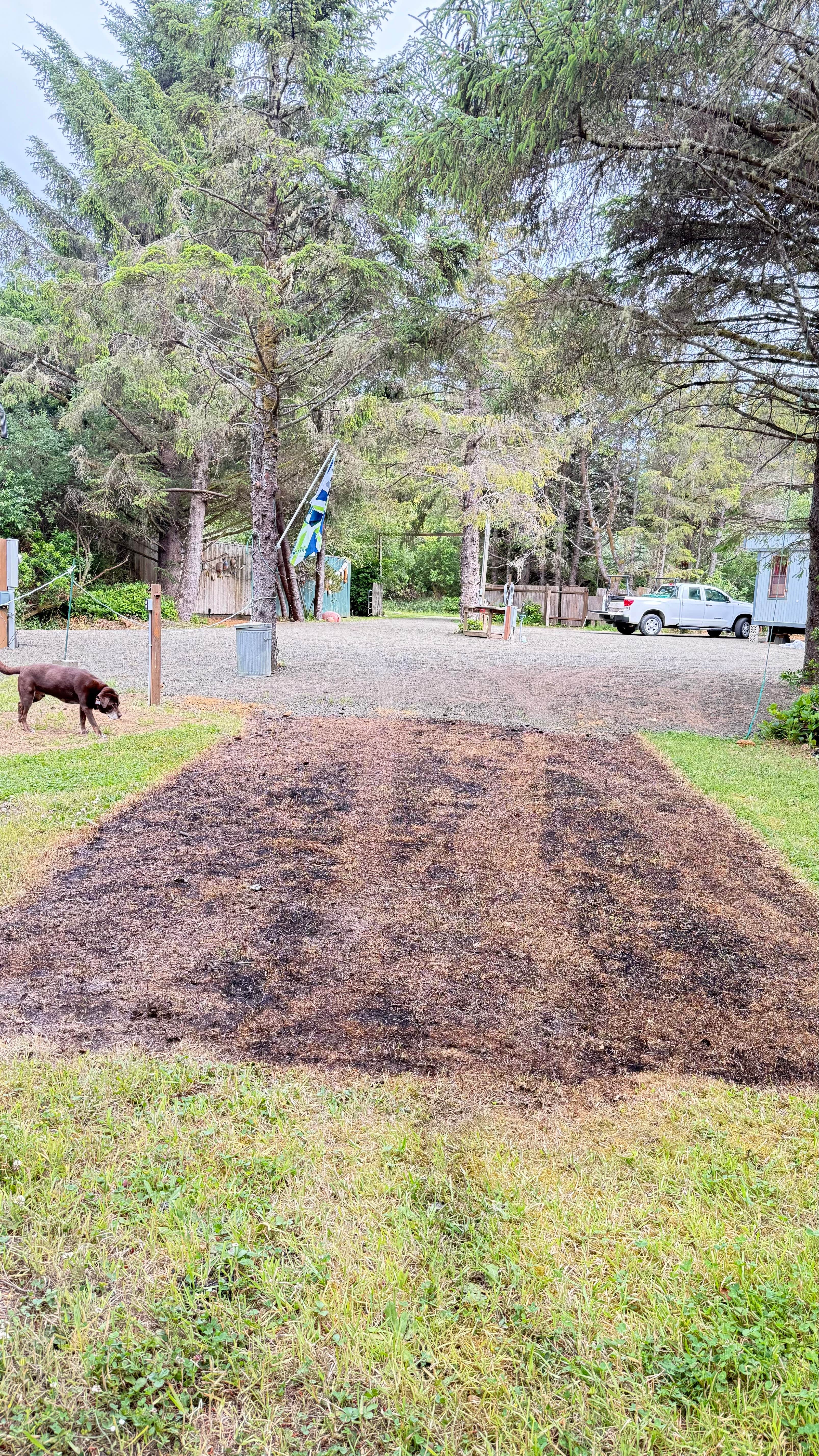 elisa A.'s photo of camping with pets at Pacific Shores Hideaway near Westport, WA