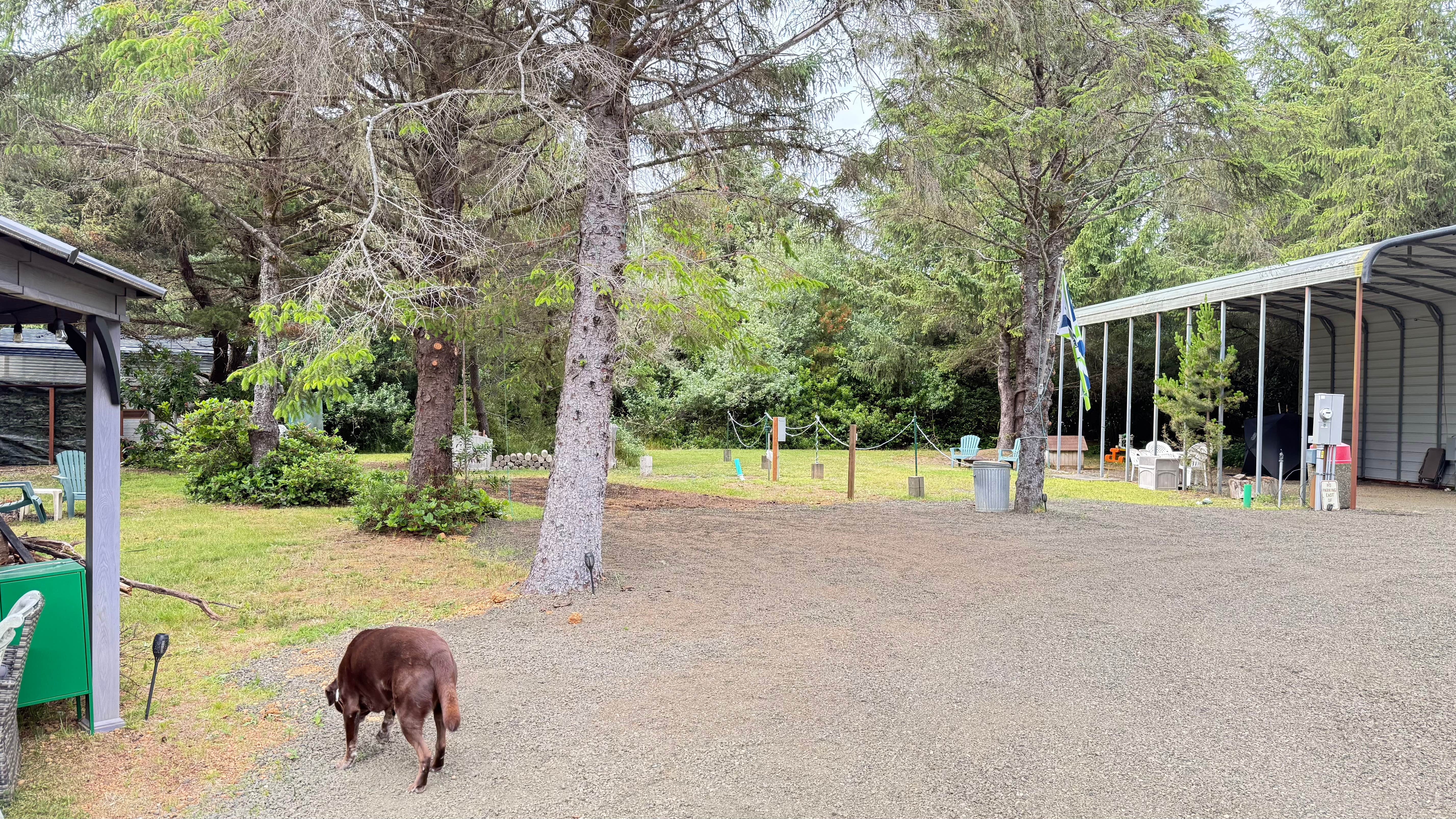 elisa A.'s photo of camping with pets at Pacific Shores Hideaway near Copalis Crossing, WA