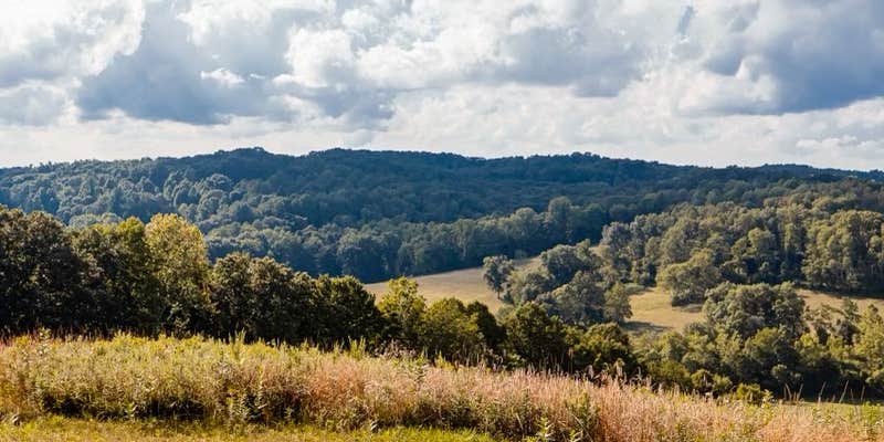 Camper submitted image from The Hilltop at Redbird Ridge