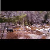 Review photo of Mount Princeton by Stella C., August 28, 2019