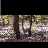 Review photo of Mount Princeton by Stella C., August 28, 2019