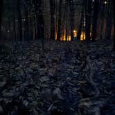 Review photo of Crampton Gap Shelter Parking Lot - on the AT by andrew W., November 20, 2025