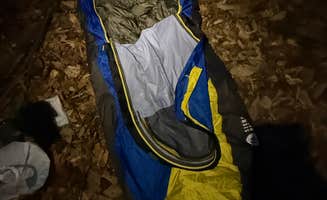 andrew W.'s photo of tent camping at Crampton Gap Shelter Parking Lot - on the AT near Sterling, VA