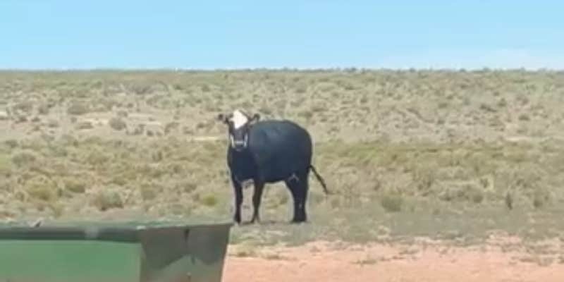 Camper submitted image from Elysian Canyon