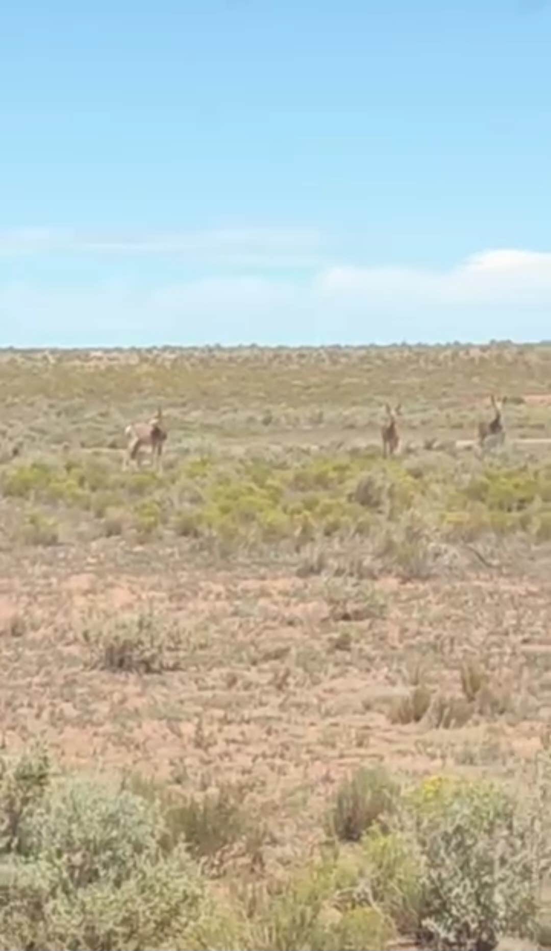 Camper submitted image from Elysian Canyon - 2