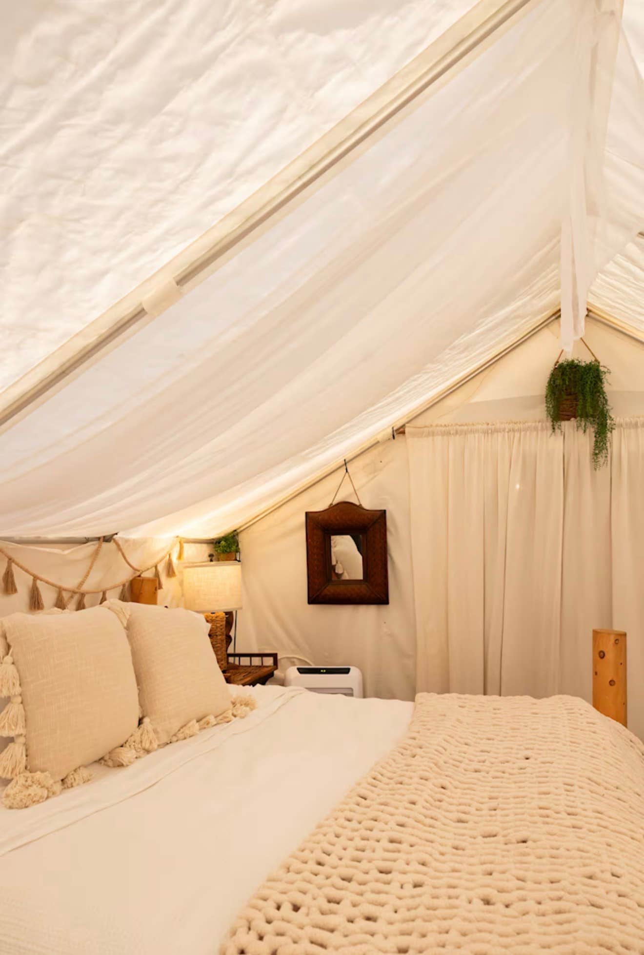 Camper-submitted photo at Whispering Woods of Texas near Telephone, TX