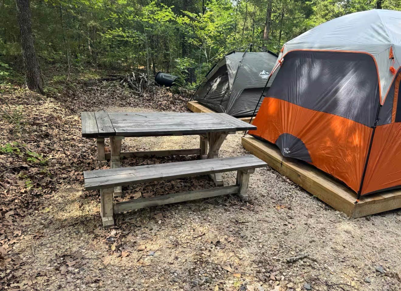 The Dyrt's photo at Whispering Woods of Texas near Wolfe City, TX