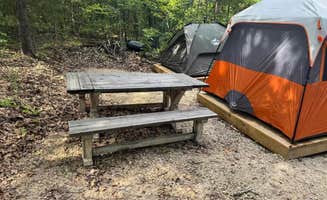 The Dyrt's photo at Whispering Woods of Texas near Wolfe City, TX