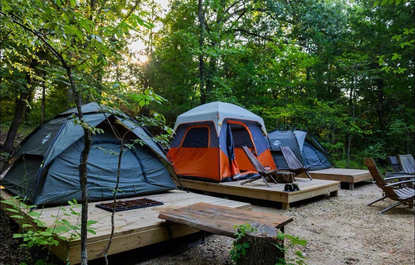 The Dyrt's photo at Whispering Woods of Texas near Ladonia, TX