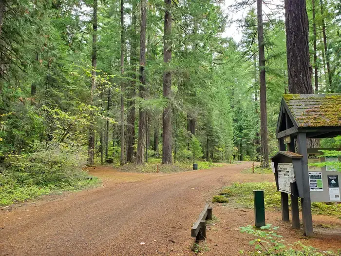 Camping near Campers Flat Campground: Sacandaga Campground, Clearwater, Oregon
