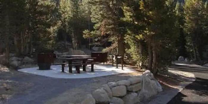 Camper submitted image from Mount Rose Campground