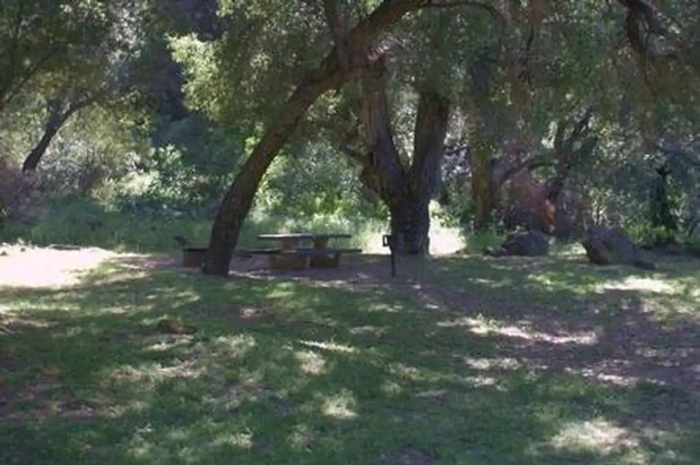 Camping near Refugio State Beach Campground: Fremont Campground, Goleta, California