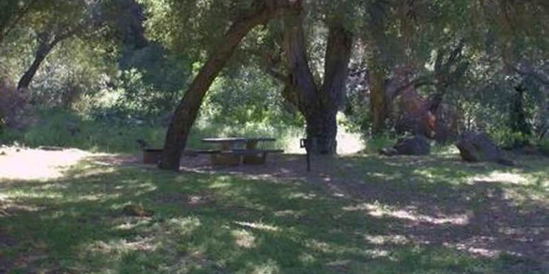 Camper submitted image from Fremont Campground