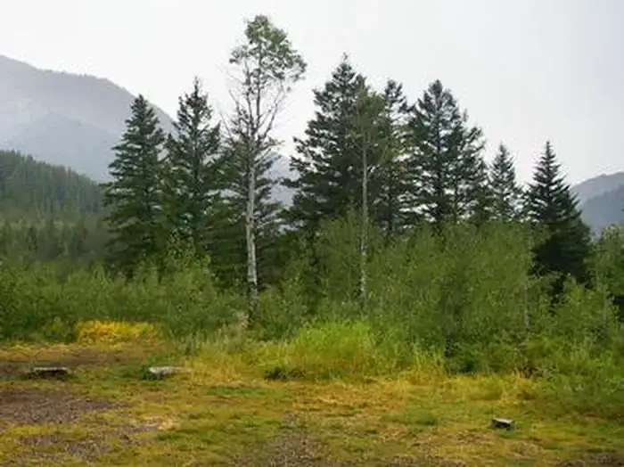 Camping near East Table Campground: Little Cottonwood Group, Alpine, Wyoming