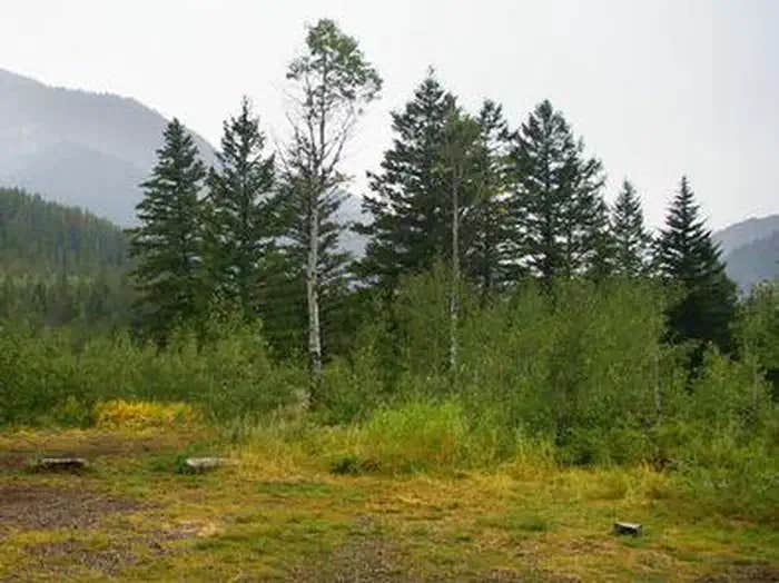 Camper submitted image from Little Cottonwood Group - 1