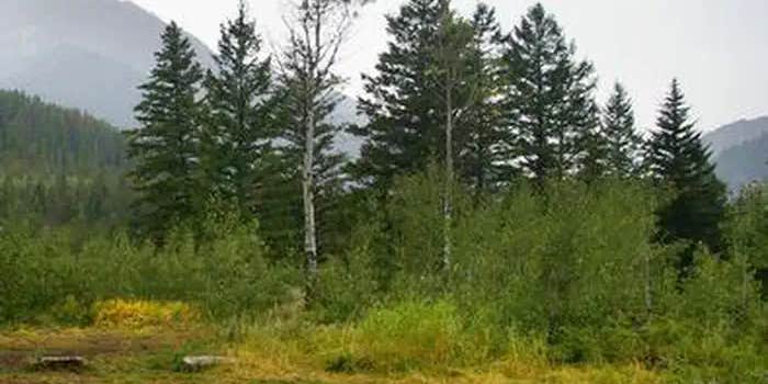 Camper submitted image from Little Cottonwood Group